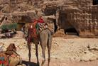Petra & Wadi Rum Tour, 2 Days from Eilat